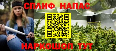 стафф Моздок